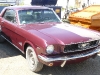 66-stang