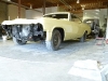 impala-3