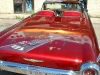 t-bird-convertable