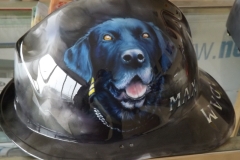 Dog hardhat